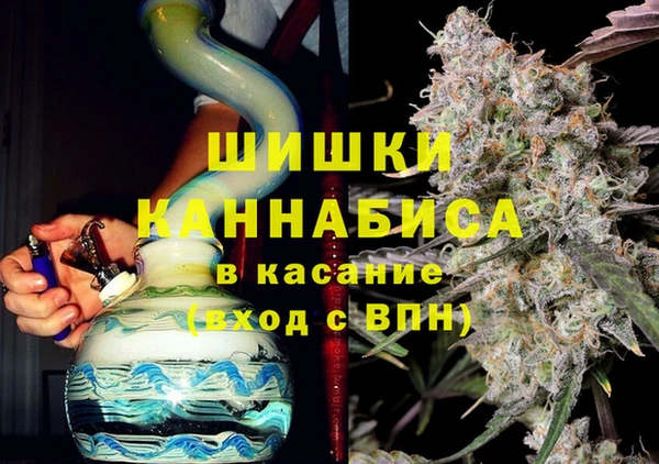 винт Абаза