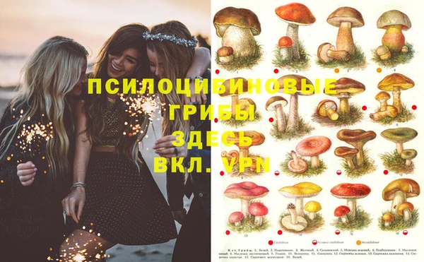 гашиш Абинск