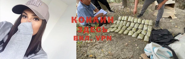 ешки Абдулино