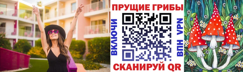 Псилоцибиновые грибы Psilocybe  Судогда 